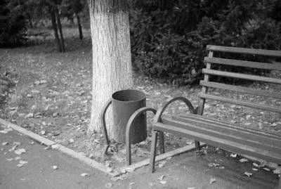 10 Essential Facts You Need to Know About Trash Pickup on LaborDay: A Comprehensive Guide