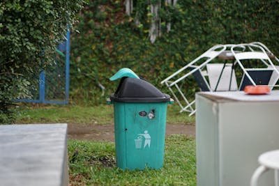 10 Signs to Determine If Your GarbageCollection Runs Today: Understanding JavaGC