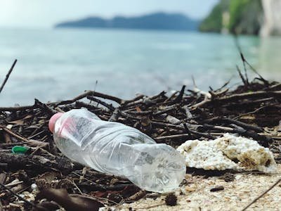 4 Essential Tips: Trash Pickup on July 4th